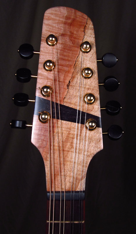 laughlin electric mandolin